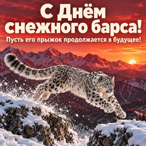 Открытка «День снежного барса, ирбис в прыжке через ущелье, красный закат над горами»