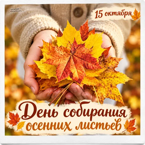 Открытка «День собирания осенних листьев, ладони с яркими кленовыми листьями, 15 октября»