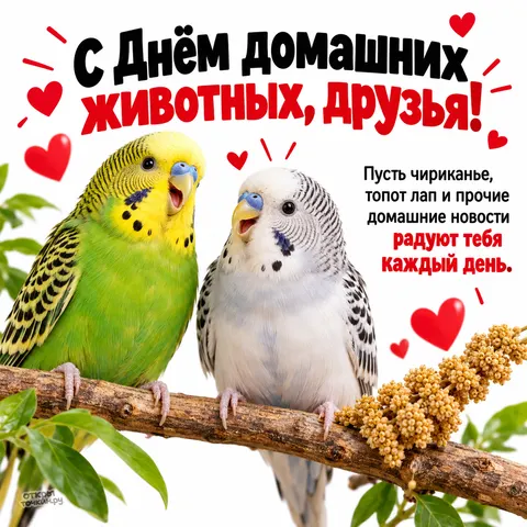 Открытка «Всемирный день домашних животных, два волнистых попугая на ветке пернатое утро»
