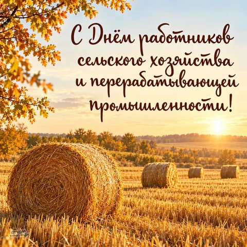 Открытка «День сельского хозяйства, тюки сена и осенний пейзаж» — День работника сельского хозяйства и перерабатывающей промышленности