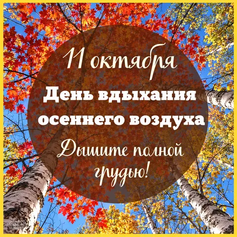 Открытка «Дышите полной грудью, берёзы осенью» — День вдыхания осеннего воздуха
