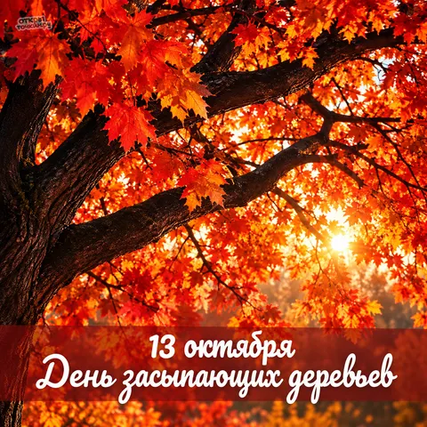 Открытка «День засыпающих деревьев, красный клён на солнце»