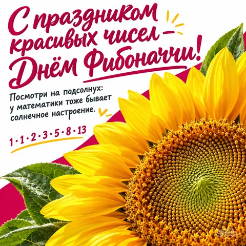 Открытка «День Фибоначчи, подсолнух и ряд чисел фибоначчи»