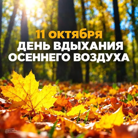 Открытка «11 октября, жёлтый кленовый лист» — День вдыхания осеннего воздуха