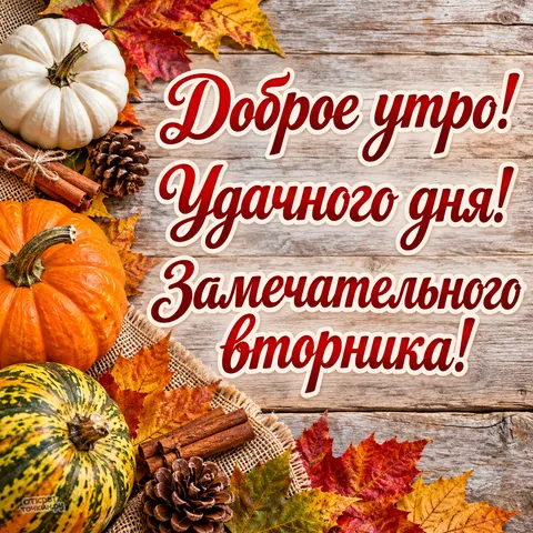 Открытка «Замечательного вторника, тыквы и листья на деревянном фоне» — Доброе утро