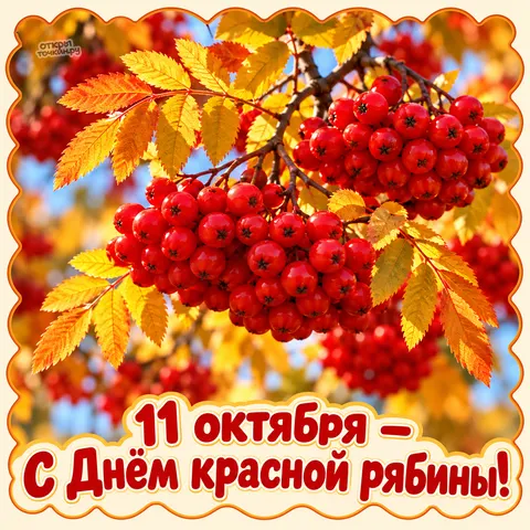 Открытка «Гроздья рябины на жёлтых листьях» — День красной рябины
