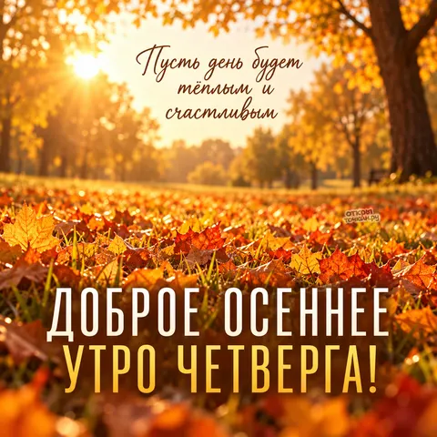 Открытка «Доброе утро четверг, золотые листья и солнце в парке»