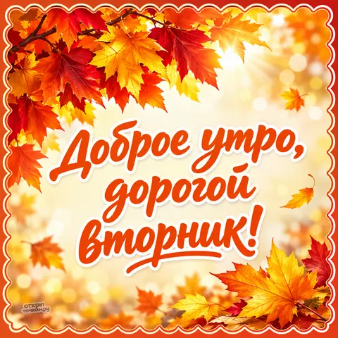 Открытка «Доброе утро вторника, яркие кленовые листья»