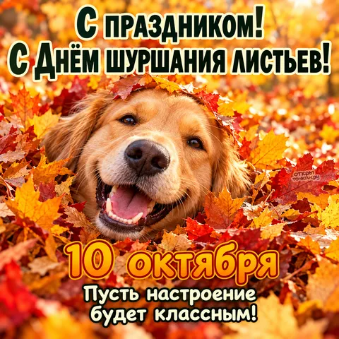 Открытка «С Днём шуршания листьев, счастливый золотистый ретривер»