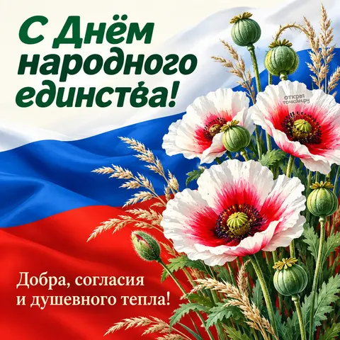 Открытка «С Днём народного единства, белые маки и триколор»