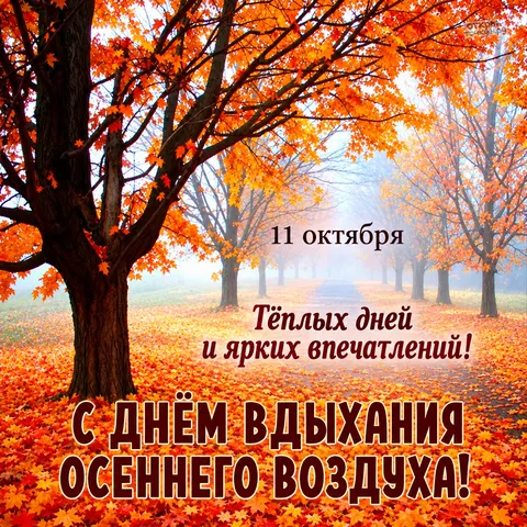 Открытка «Тёплых дней и ярких впечатлений, осенняя аллея» — День вдыхания осеннего воздуха