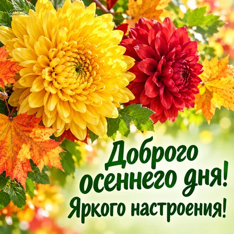 Открытка «Доброго осеннего дня с цветами» — Хорошего дня