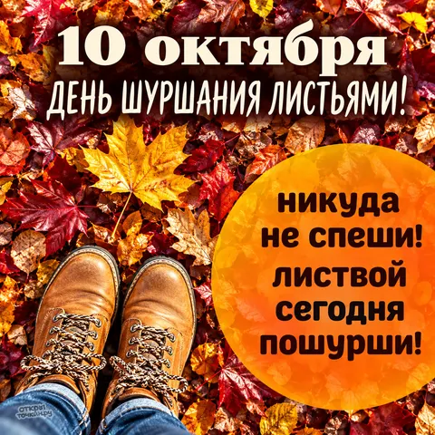 Открытка «День шуршания листьями, ботинки на осенней дорожке»